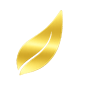 Info Icon